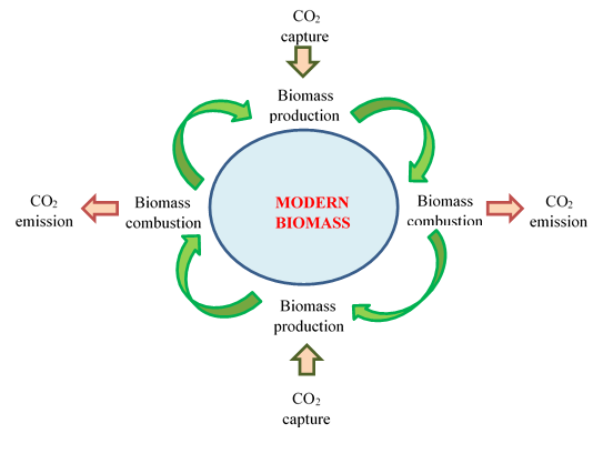 Biomass