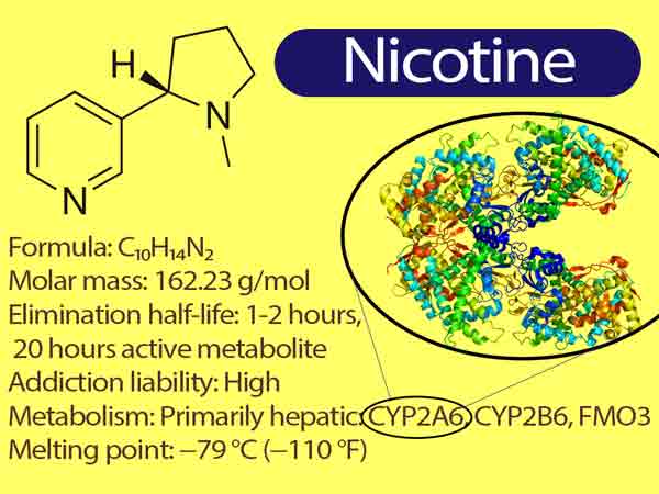 Read more about the article Nicotine Effects || What are the dangers of nicotine? || Nicotine Benefits