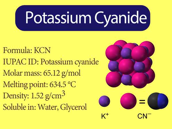 Potassium Cyanide Formula What Does Cyanide Do To The Body
