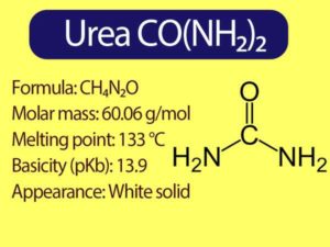 Read more about the article What is Urea || How to make Urea Fertilizer, || Urea uses