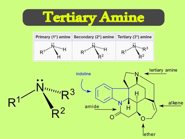 You are currently viewing Tertiary Amine Uses || What is a Primary Secondary and Tertiary Amine?