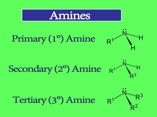 You are currently viewing Amine Properties and Uses || What are the different types of amines?