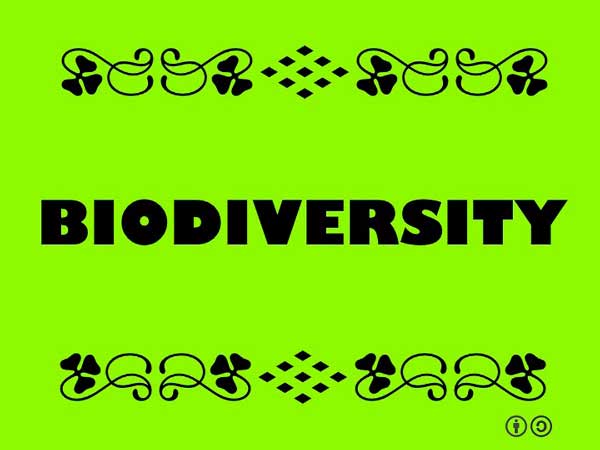 Read more about the article Biodiversity and Conservation: Class 12