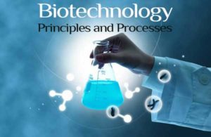 Read more about the article Biotechnology: Principles and Processes