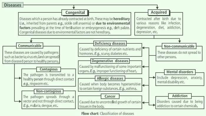 human health and disease class 12