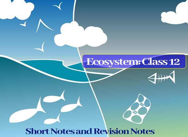 ecosystem-class-12-structure-and-functions-of-ecosystem-short-notes