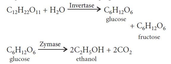 Ethanol alcohol