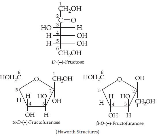 Biomolecules notes for CBSE exams || Sugar || Glucose || Proteins