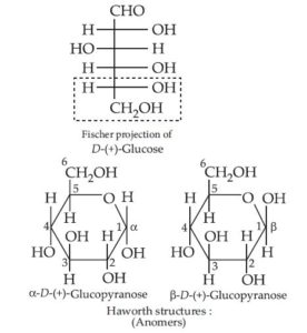 Biomolecules notes for CBSE exams || Sugar || Glucose || Proteins