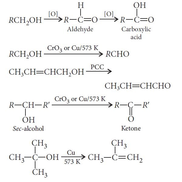 Alcohol Oxidation