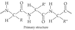 Biomolecules notes for CBSE exams || Sugar || Glucose || Proteins