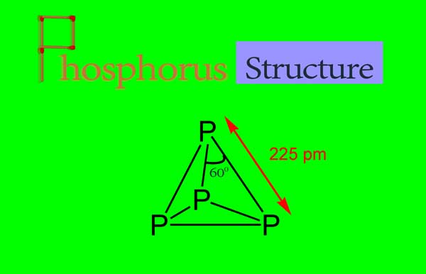 phosphorus structure