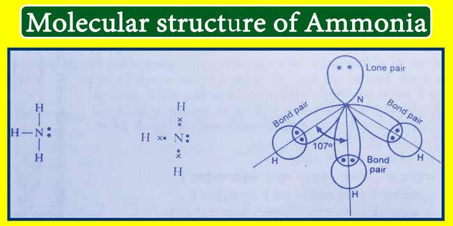Molecular structure of ammonia