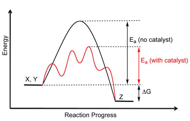 catalytic reaction