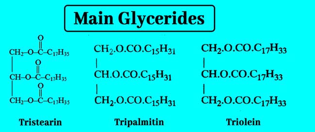 Glycerol main structure