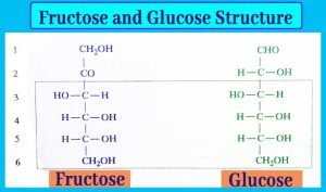 Fructose: How Fructose Converted into Glucose? | Structure and Formula ...