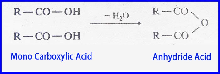 anhydride acid