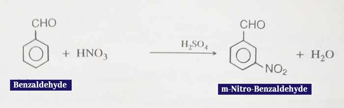 benzaldehyde-Nitration