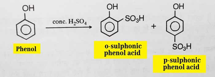 phenol Sulphonation