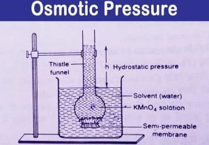 pressure osmotic osmosis funnel solute known chemistrypage