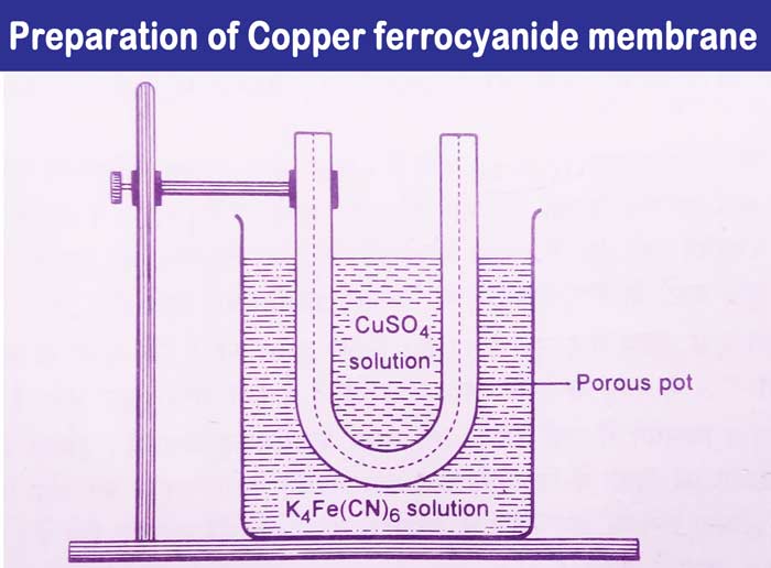 Preparation-of-Copper-ferrocyanide-membrane