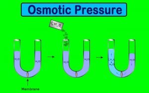 osmotic numerical examples isotonic