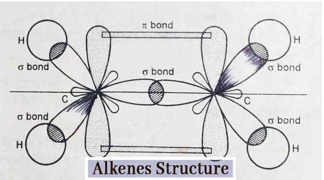 Read more about the article Unsaturated Hydrocarbons: Different between Alkenes and Alkynes