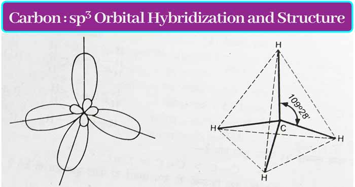 Carbon-sp3-Orbital-Hybridization-and-Structure