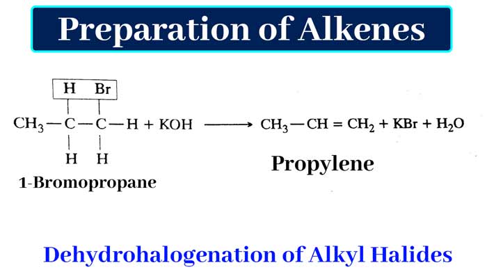 Dehydrohalogenation-of-Alkyl-Halides