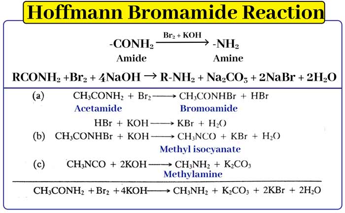 Hoffmans bromamide reaction