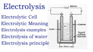 Read more about the article Electrolysis : Definition, Principle and Electrolytic Cell